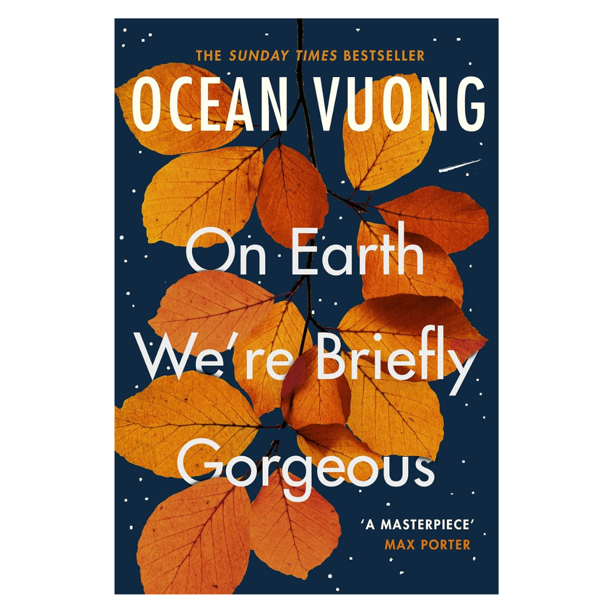 On Earth We're Briefly Gorgeous