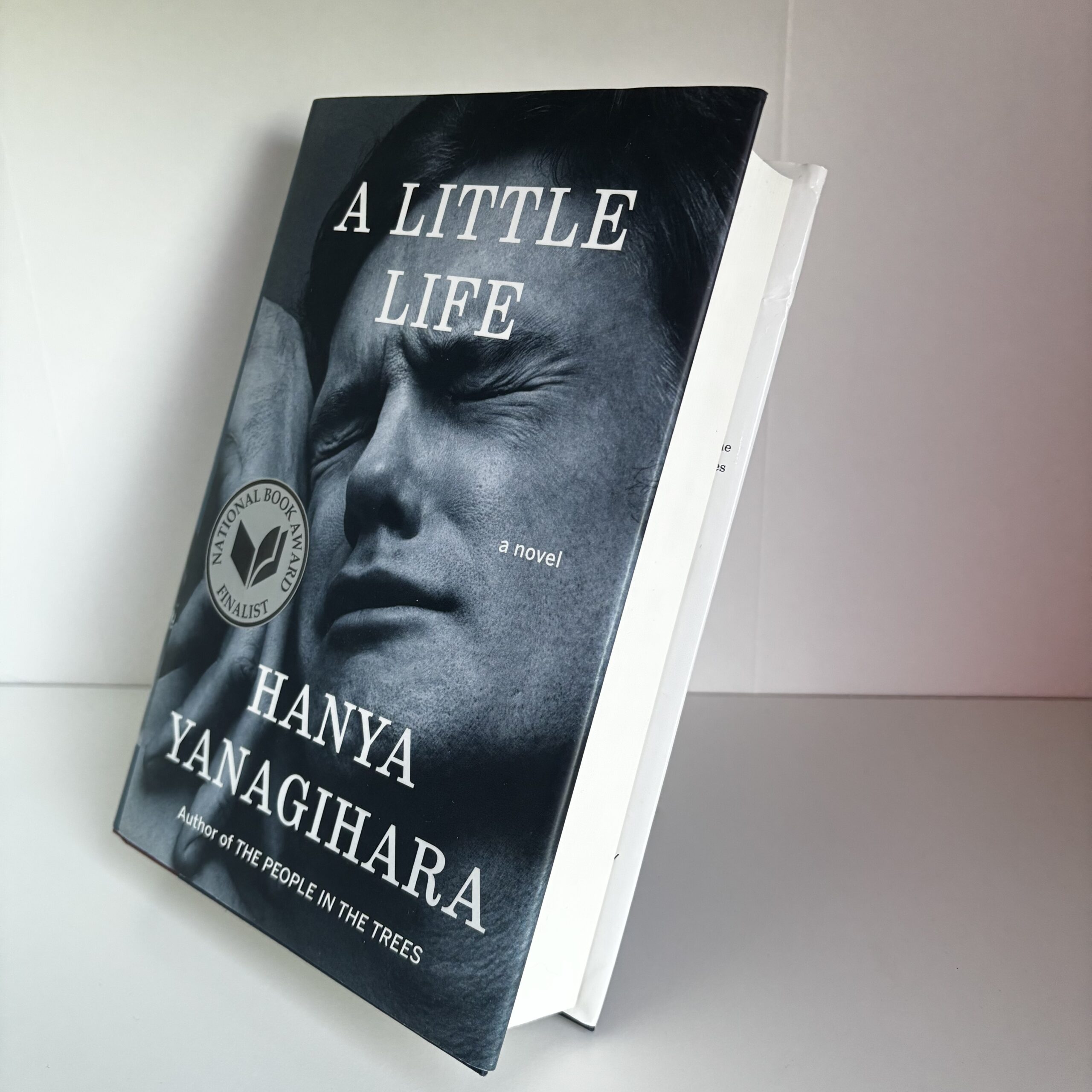 A Little Life - Image 2